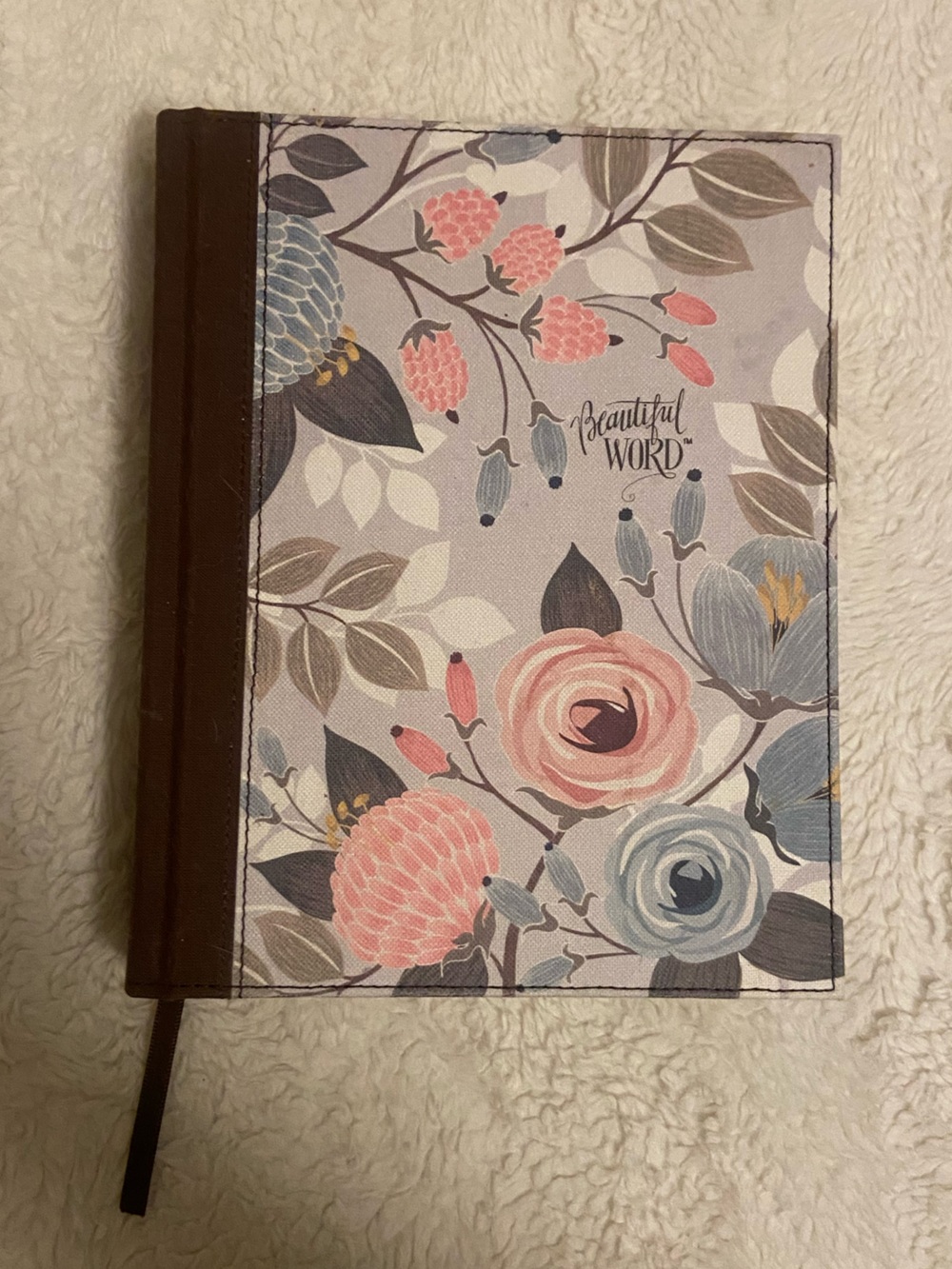 Brand New Bible version NIV
